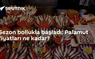 Palamut fiyatları