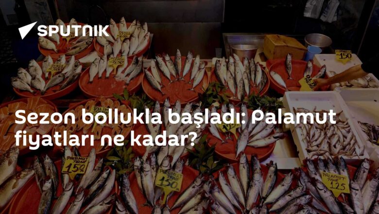 Palamut fiyatları